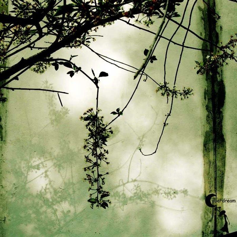 Сон о Веснеphoto preview