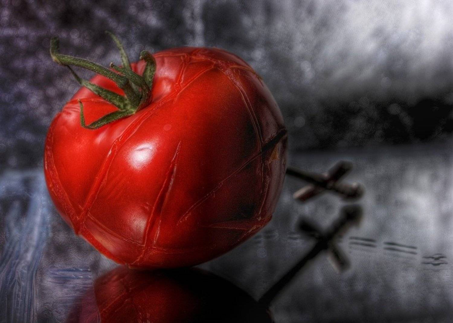 Израненный. Автор: Оксана Музыка томат, Оксана Музыка