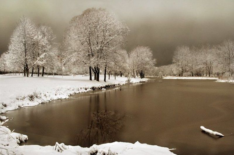 18 декабря фото превью