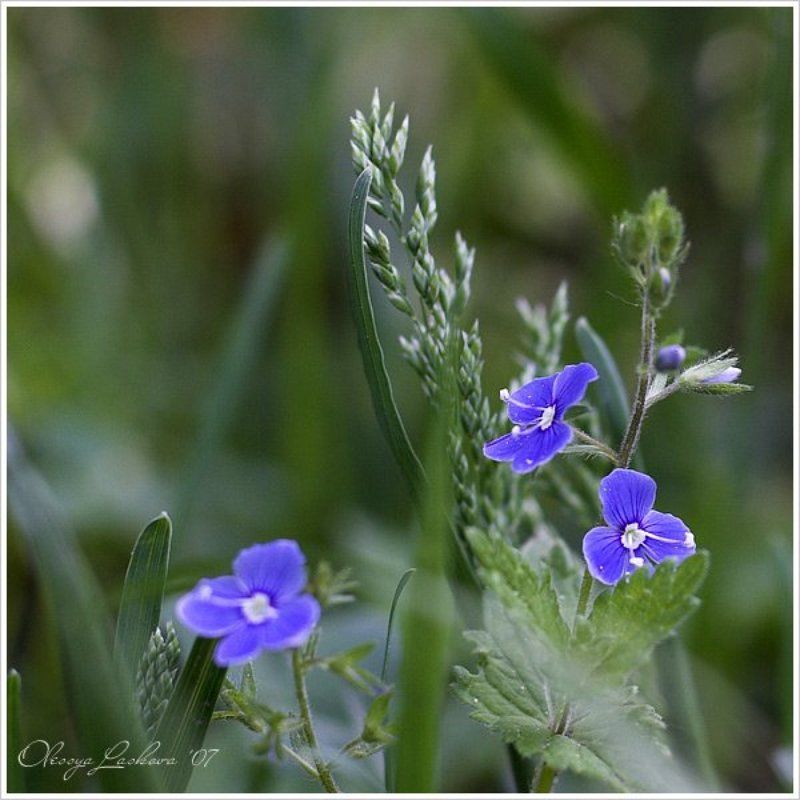 Саша, с Днем Рождения тебя!photo preview