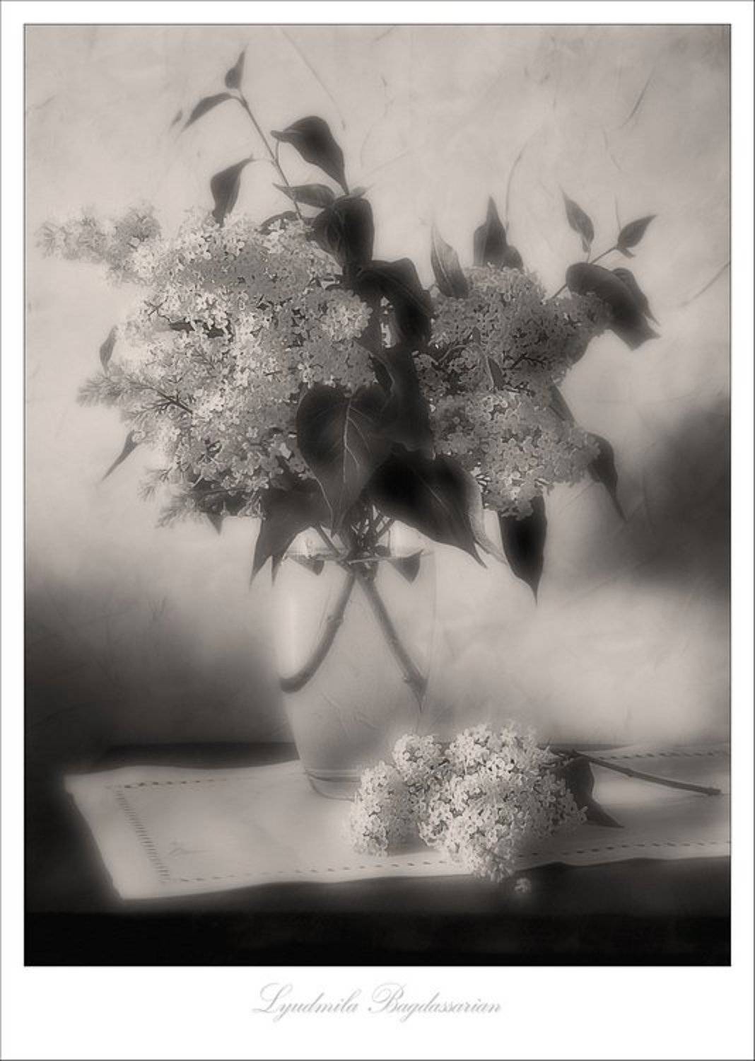 Сирень и настроение.... Автор: Lyudmila Bagdassarian сирень, Lyudmila Bagdassarian