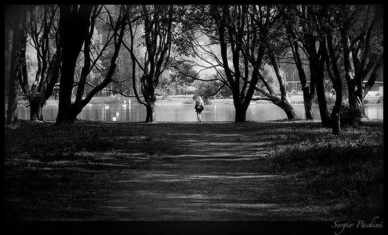 Walkin away..photo preview