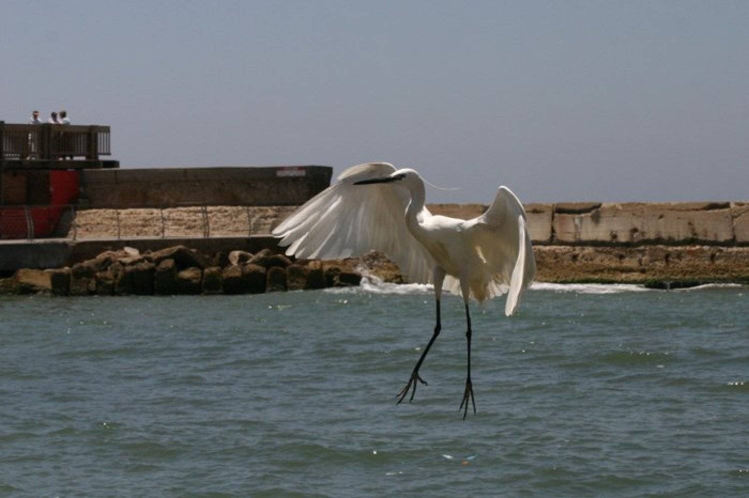 Воздушные танцы. Автор: IgalSc igalsc, genre, IgalSc