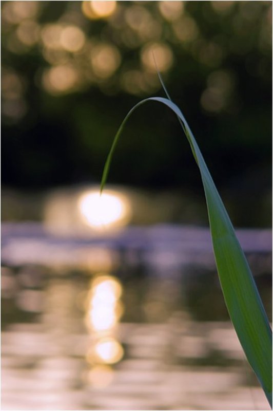 Солнечный фонарикphoto preview