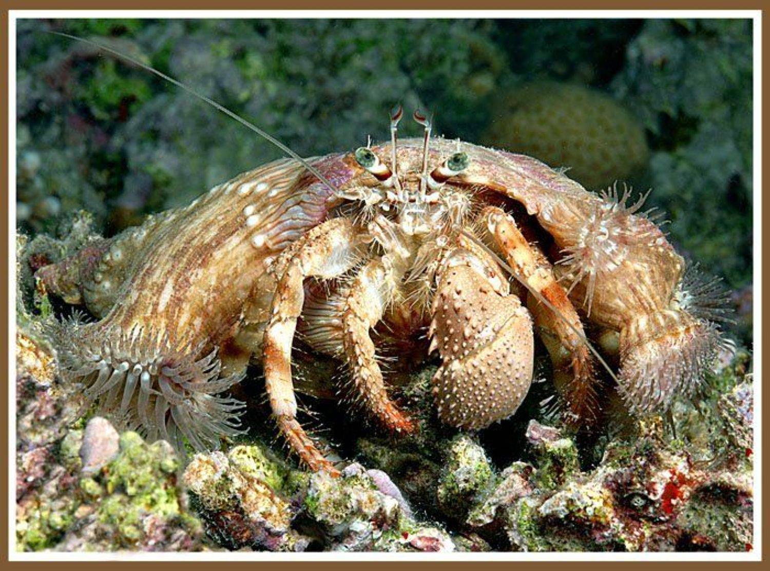 Ночное такси. Автор: Медведева Елена , Медведева Елена