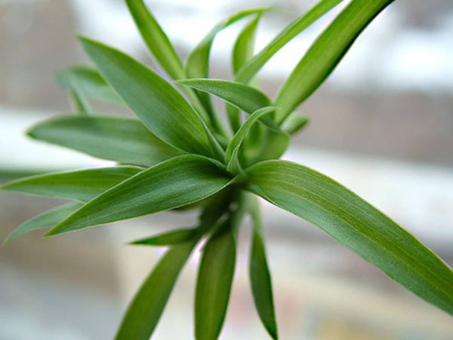 Many ways. Автор: Леонид Журавлев , Леонид Журавлев