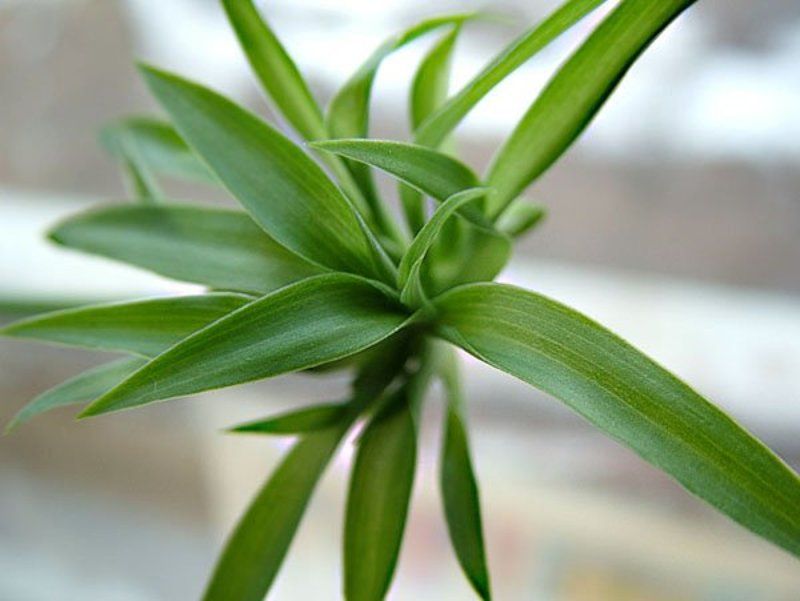 Many waysphoto preview