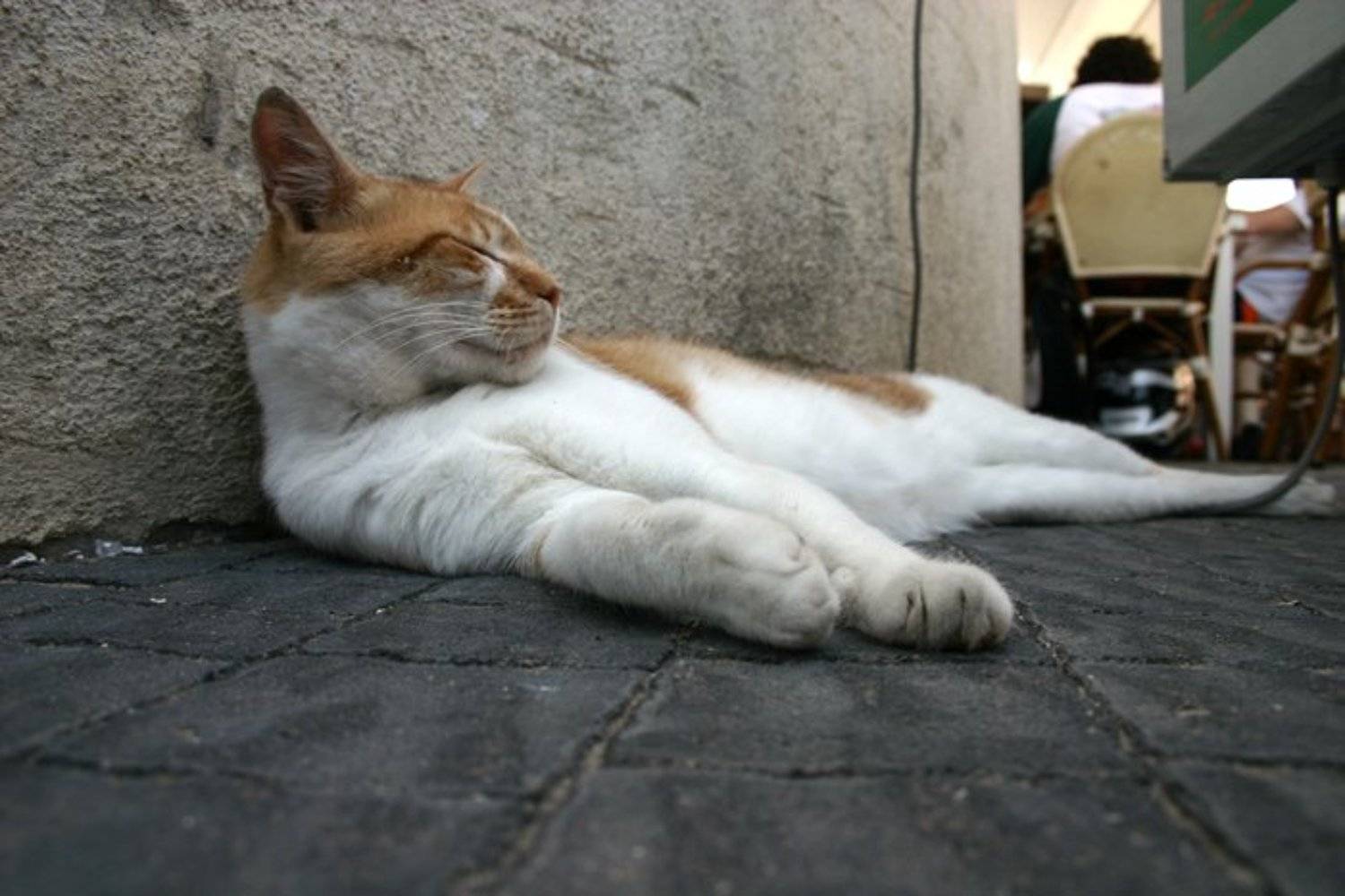 (*^*^*). Автор: IgalSc igalsc, genre, IgalSc