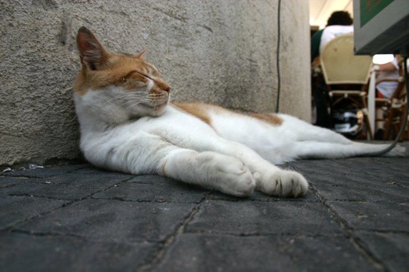 igalsc, genre (*^*^*)photo preview