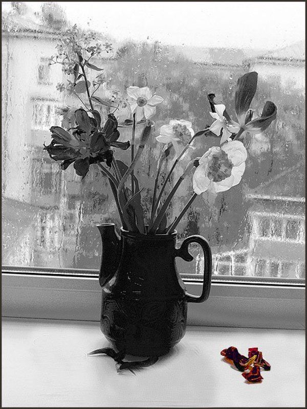 В дождь фото превью