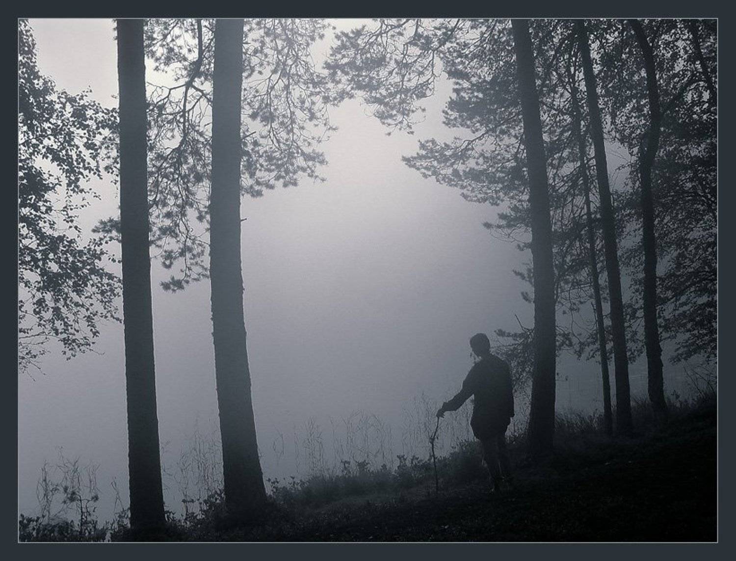 селигер, Anna Fomicheva [nusha]