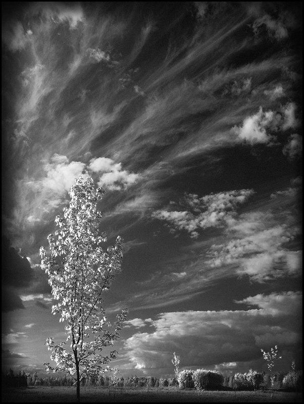 Что выше горизонтаphoto preview