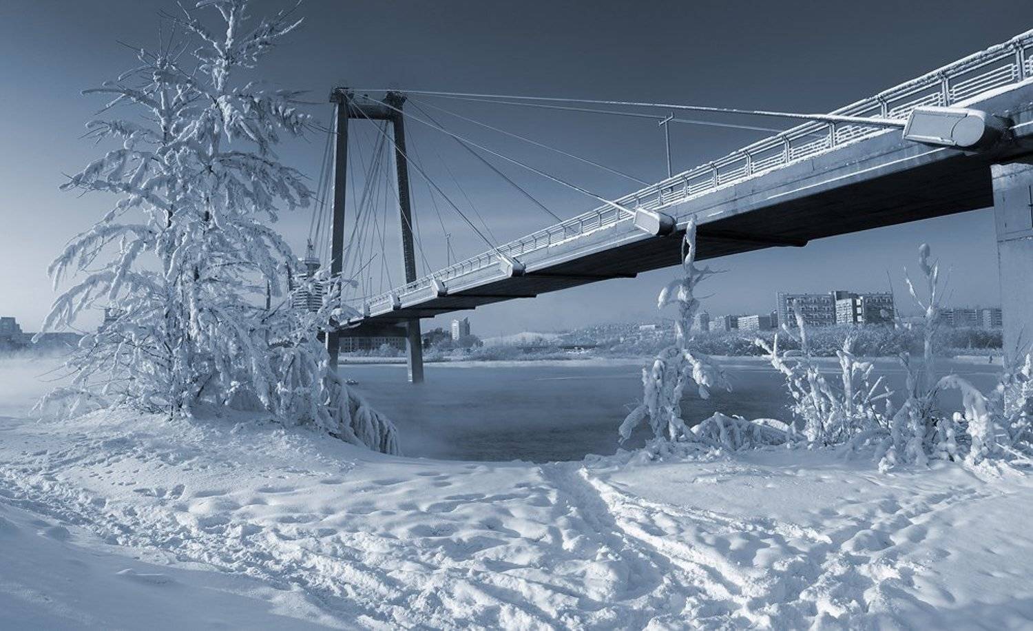 архитектура, белый, берег, большой, вантовый, вода, высокий, голубой, город, енисей, заснеженный, зима, красноярск, монохром, мороз, мост, панорама, парит, пейзаж, протока, река, сибирь, синий, снег, тропинки, холод, широкий, Дмитрий Антипов