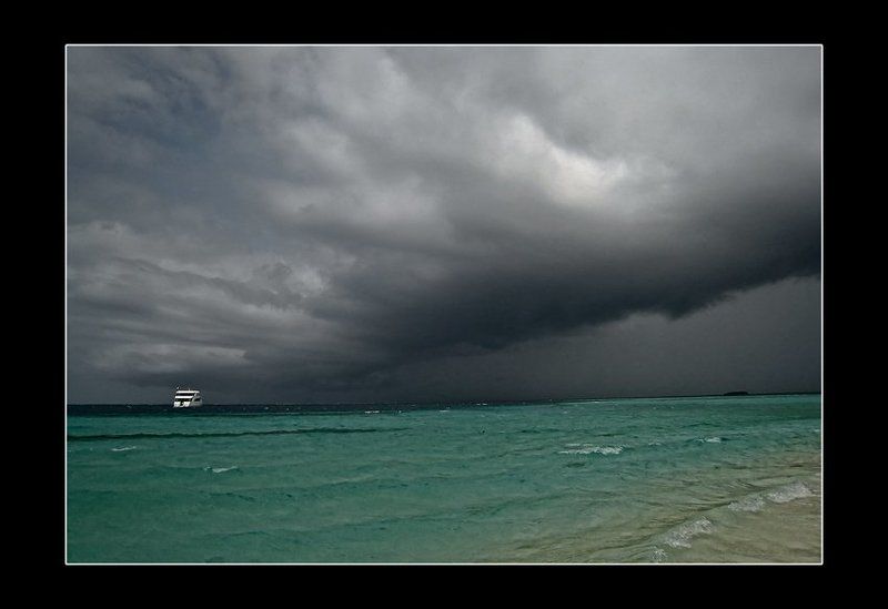 Сезон дождейphoto preview