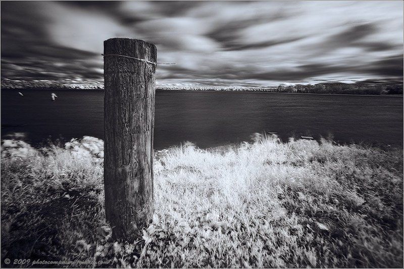 ик, infrared, инфракрасный One of these days...photo preview