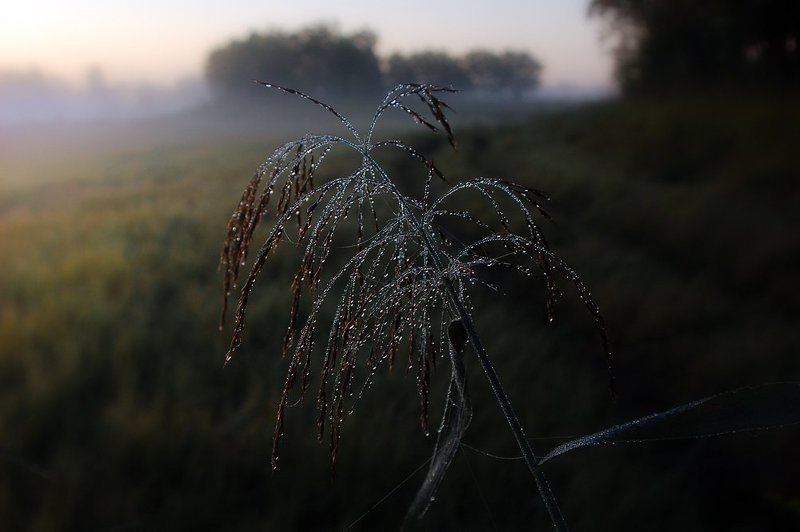 Калиф на часphoto preview