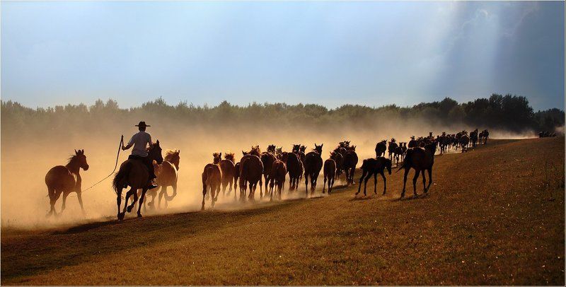 Песня табунщикаphoto preview