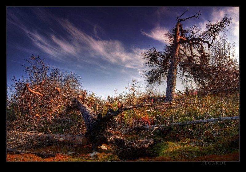 champ de bataillephoto preview
