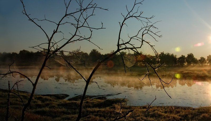 ловцы солнечных зайцевphoto preview