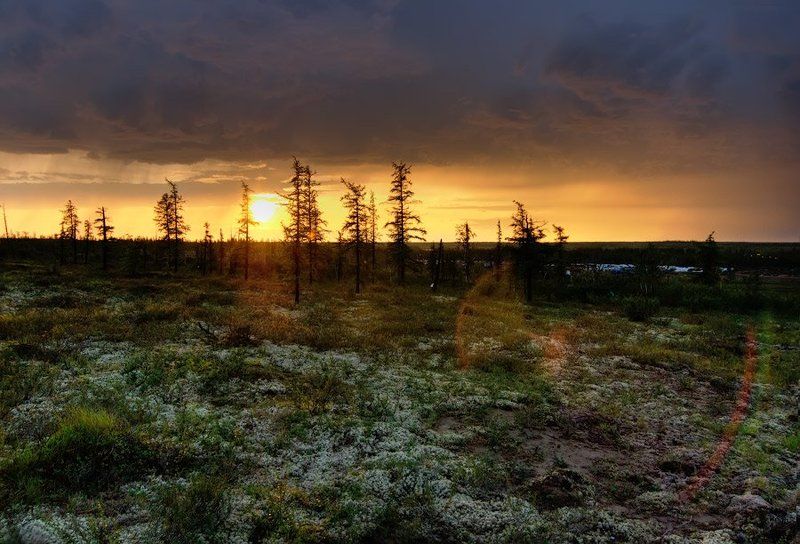 Ночь в полярный деньphoto preview