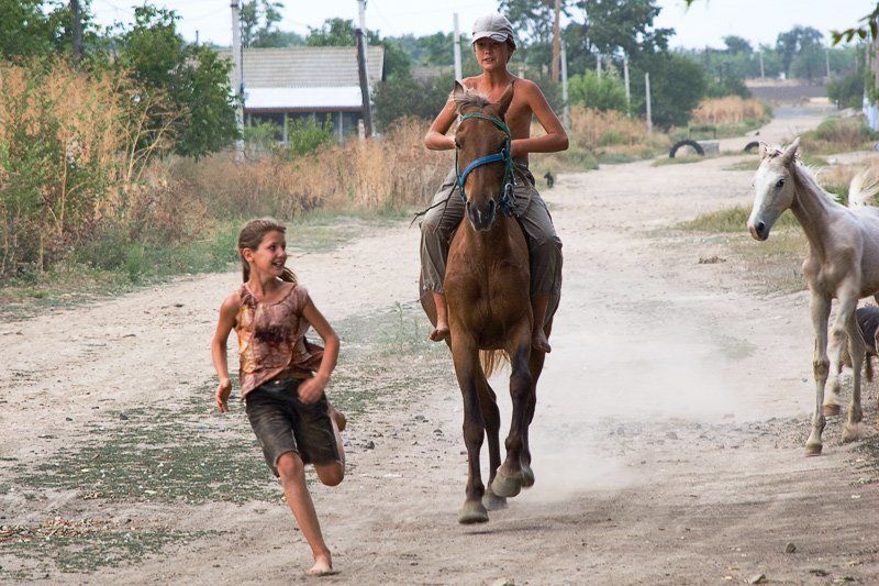 Салки по - деревенскиphoto preview