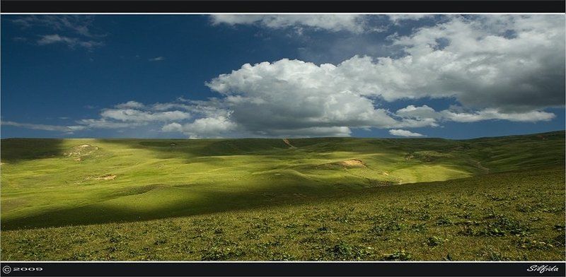 Тени исчезают в полдень.photo preview