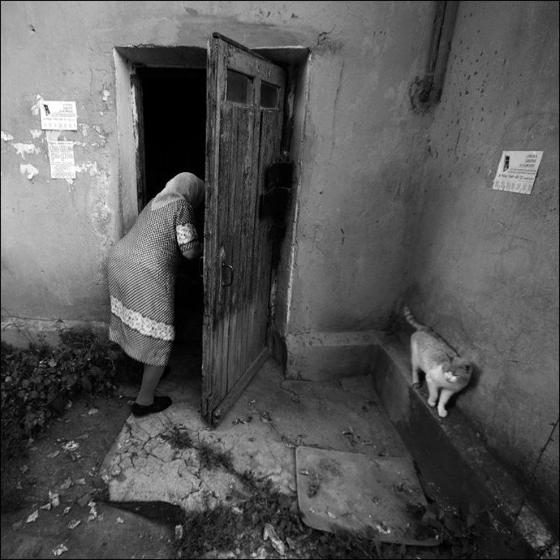 квадратная чб картинка с бабушкой и рыжей кошкой у подъезда в Озеркахphoto preview