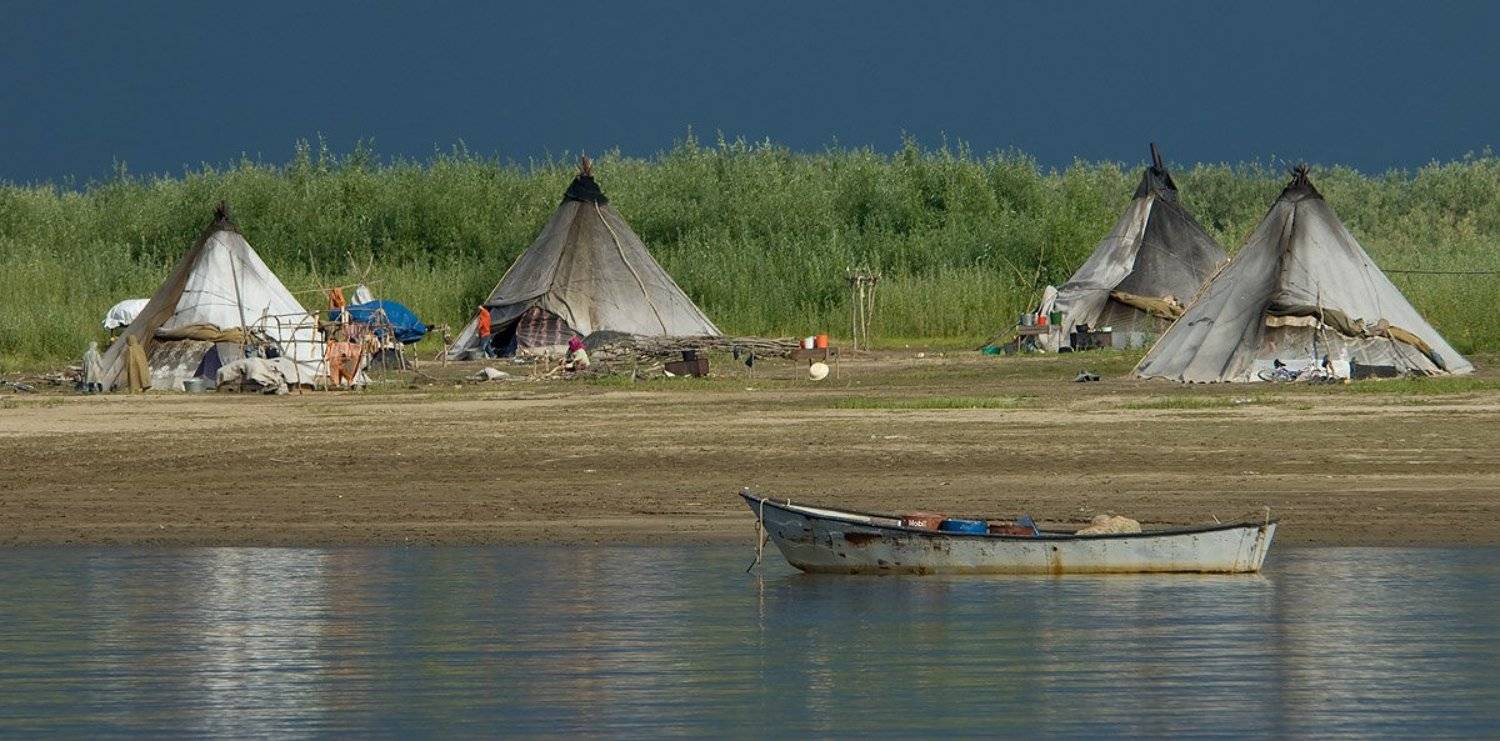 жизнь на краю земли,север,ненцы,путешествия, Danil Husainov