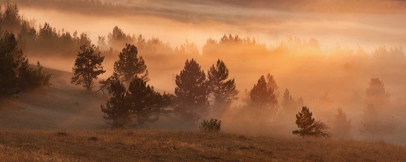 туман,утро,крым туман на плато Ай петри-3photo preview