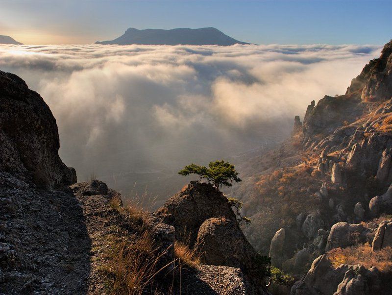 демерджи,туман демерджи-3photo preview