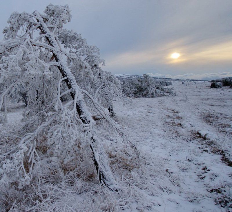 зима ,крым крымская зима на плато Ай петриphoto preview