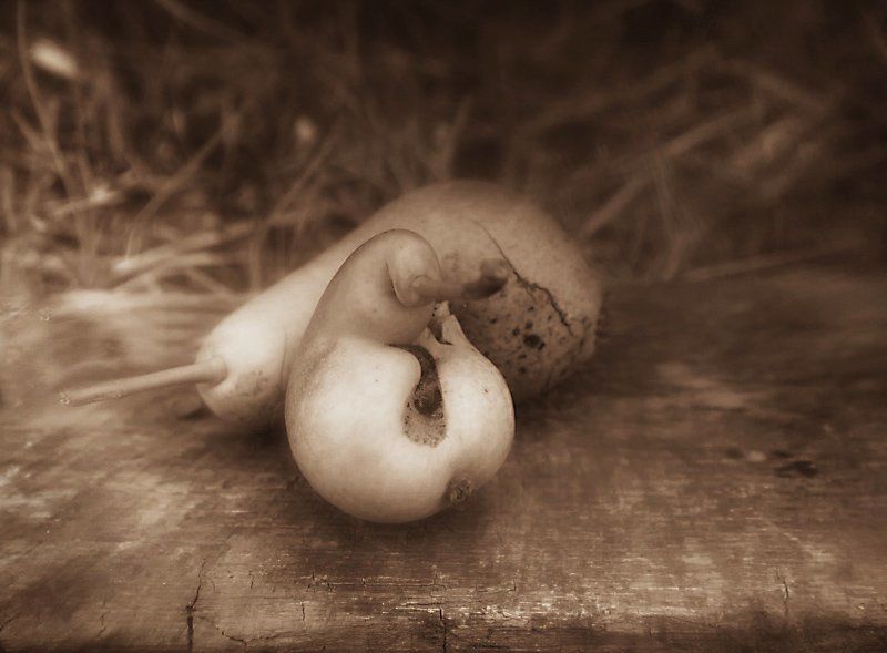 Осень вдвоемphoto preview