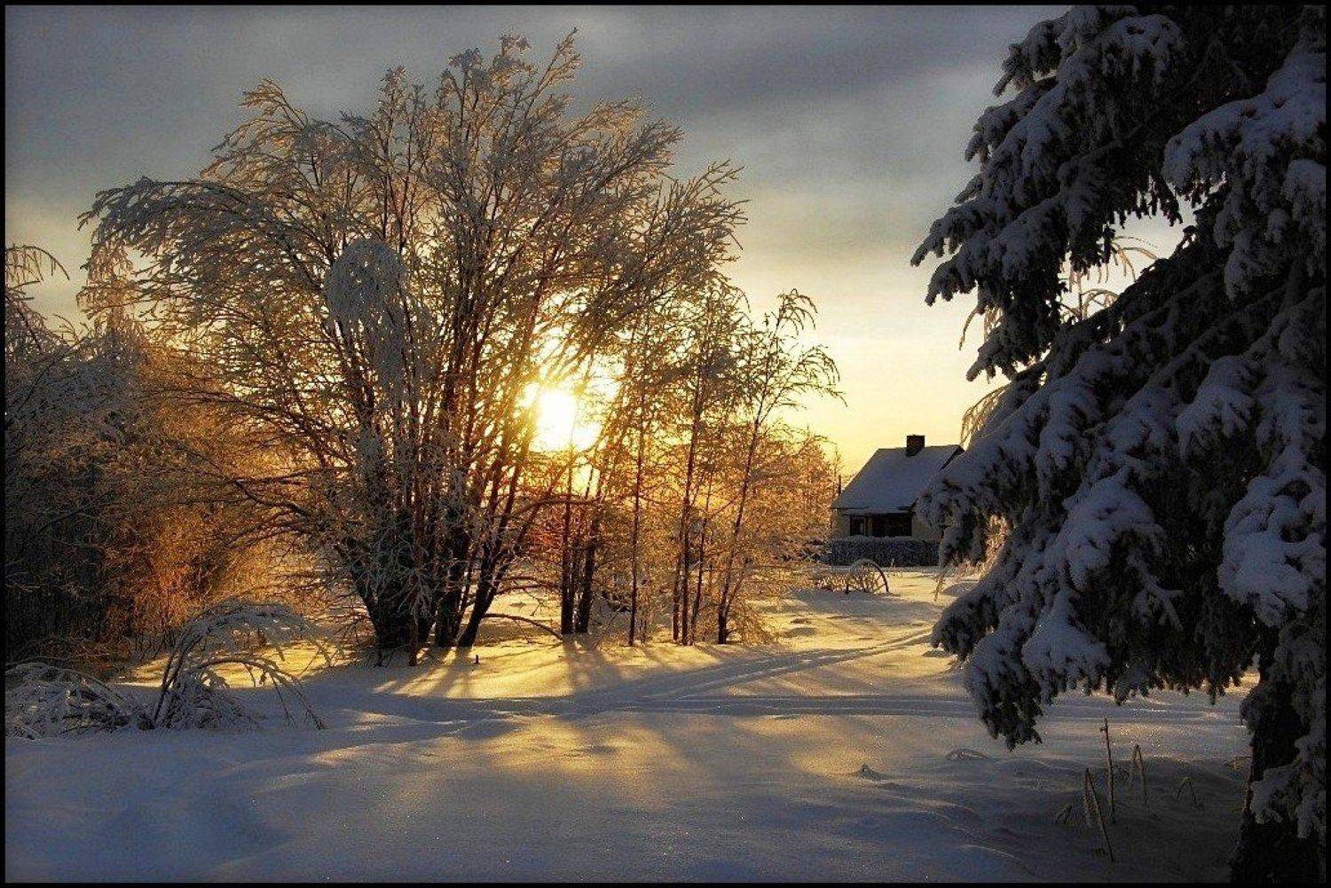 швеция,скандинавия,заполярье,зима,природа,пейзаж, Елена
