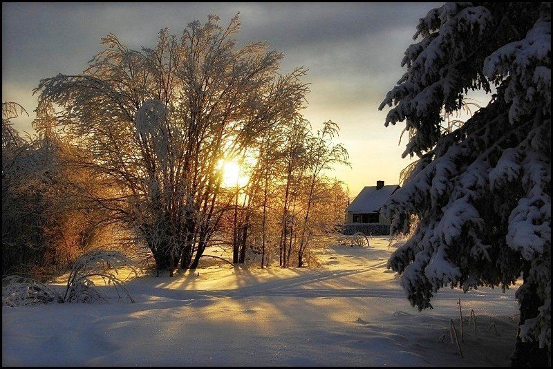 швеция,скандинавия,заполярье,зима,природа,пейзаж Утроphoto preview