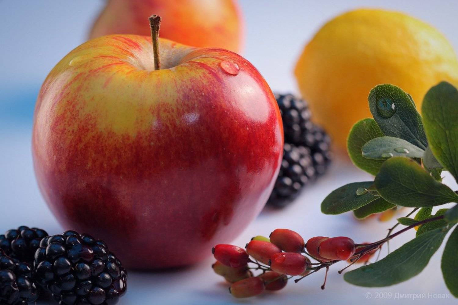 фрукты, яблоко, ежевика, барбарис, лимон, Дмитрий Новак