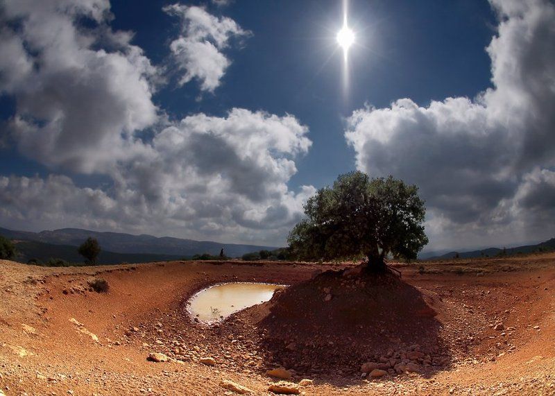 Меронphoto preview