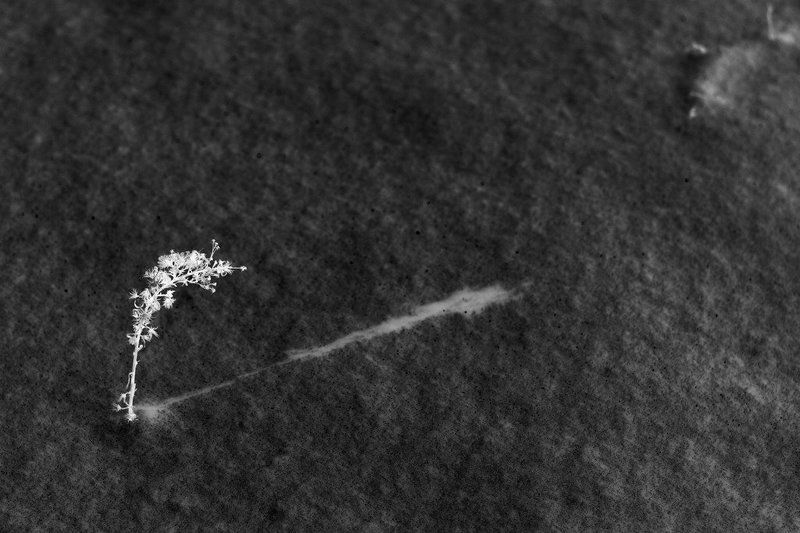 минимализм  фото превью