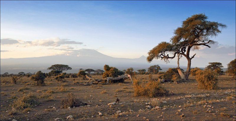 Воспоминания о Килиманджароphoto preview