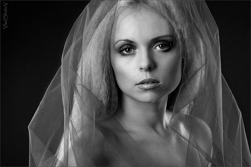 vlad shutov photo preview