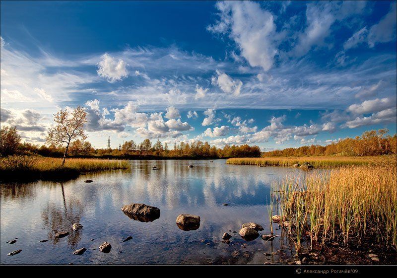 мурманск,север,тундра,осень Бабье лето.photo preview