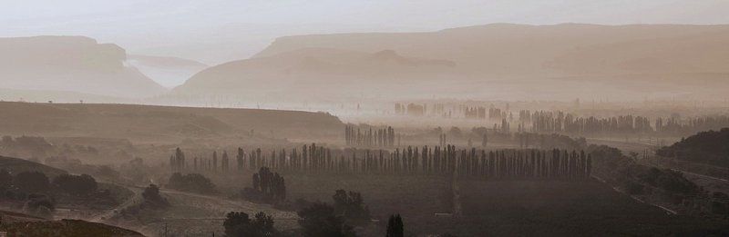 утро photo preview