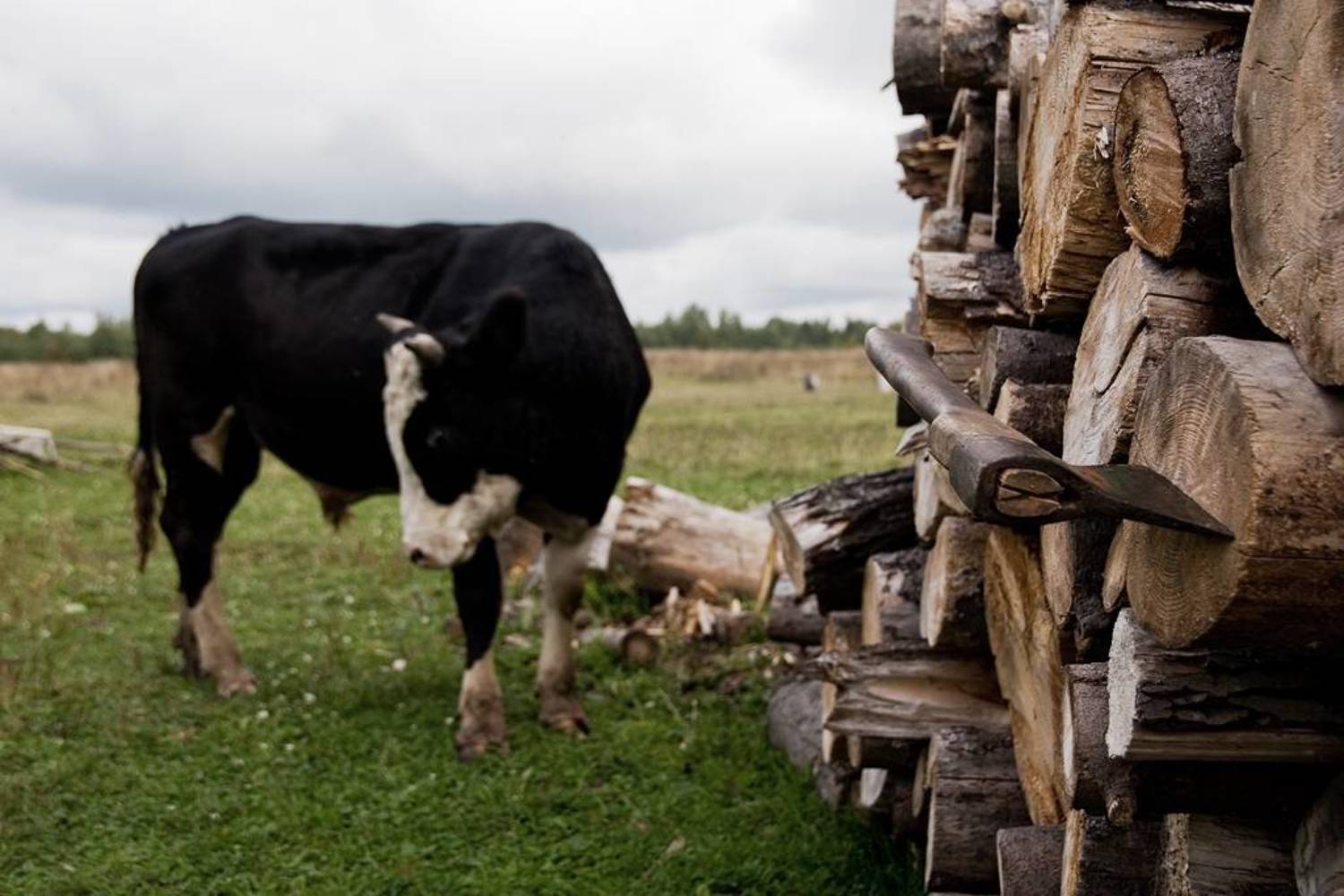 Неотвратимость судьбы.. Автор: ;) , ;)