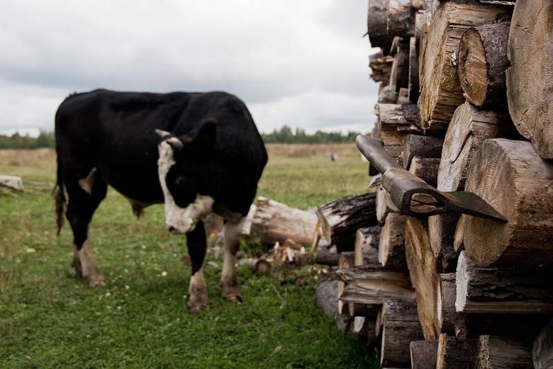 Неотвратимость судьбы.photo preview