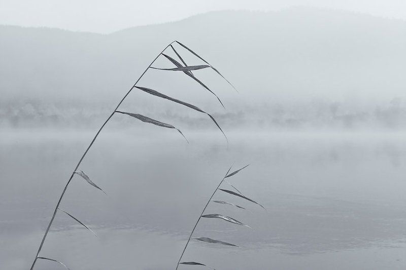 бурятия, река, баргузин, туман * * *photo preview