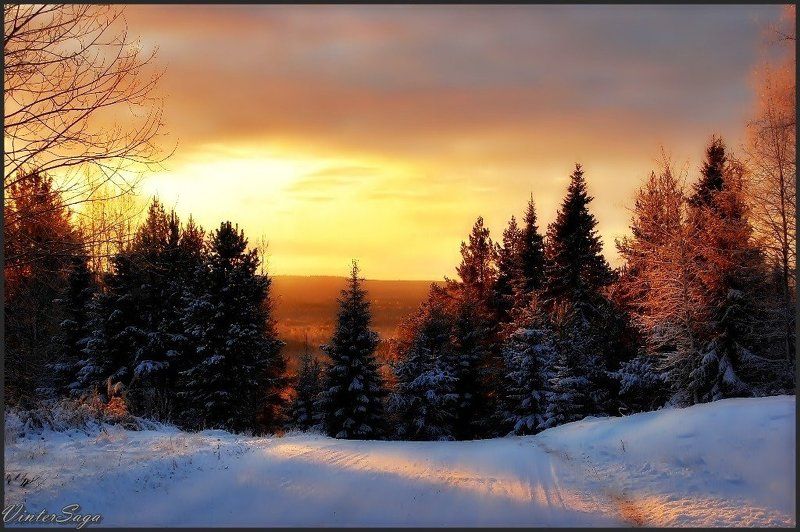 швеция,скандинавия,лапландия,заполярье,зима,снег,закат,природа,пейзаж VinterSagaphoto preview