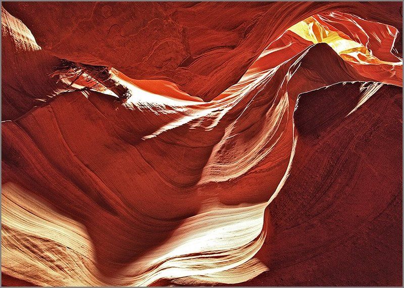 В гостях у Антилопы.photo preview