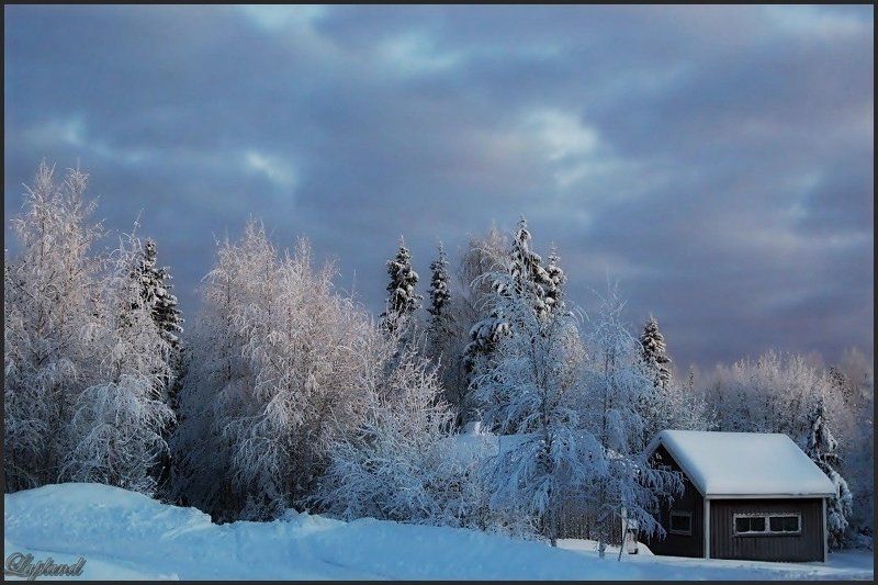 швеция,зима,скандинавия,заполярье,лапландия,природа,пейзаж Laplandphoto preview