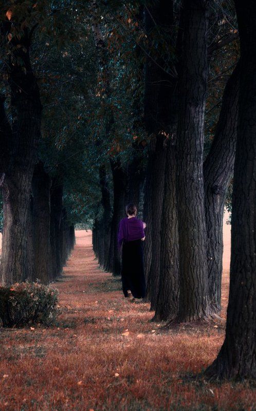 Сентябрьphoto preview