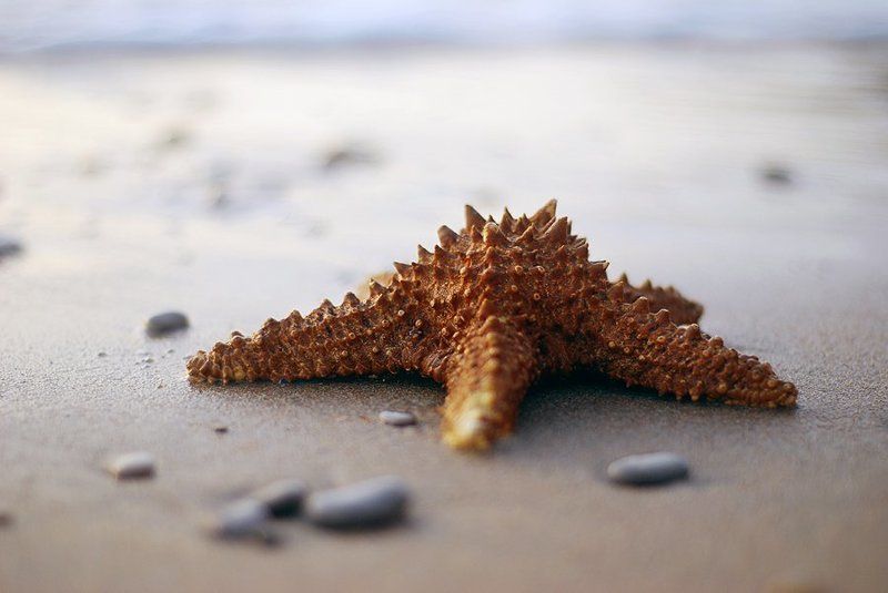 на крымском побережьеphoto preview