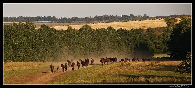 фото ***photo preview